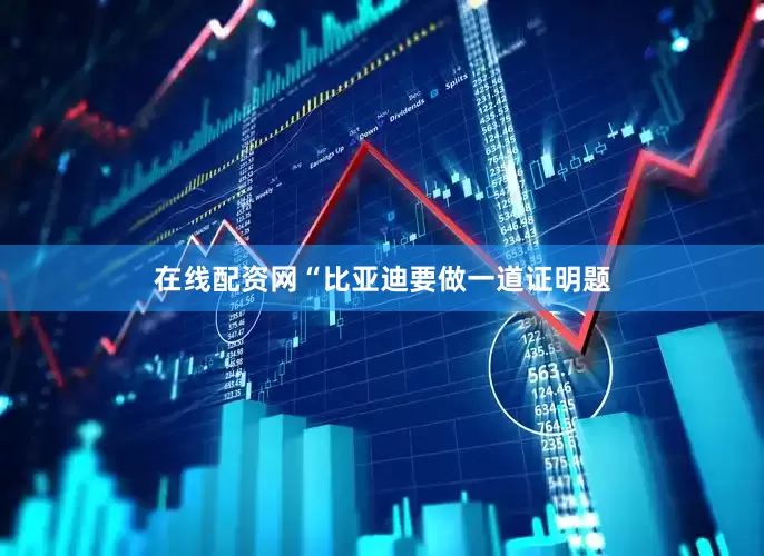 在线配资网“比亚迪要做一道证明题