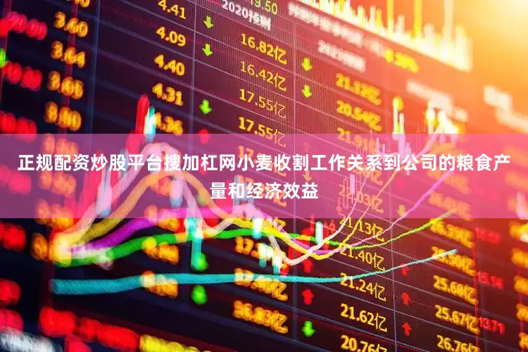 正规配资炒股平台搜加杠网小麦收割工作关系到公司的粮食产量和经济效益
