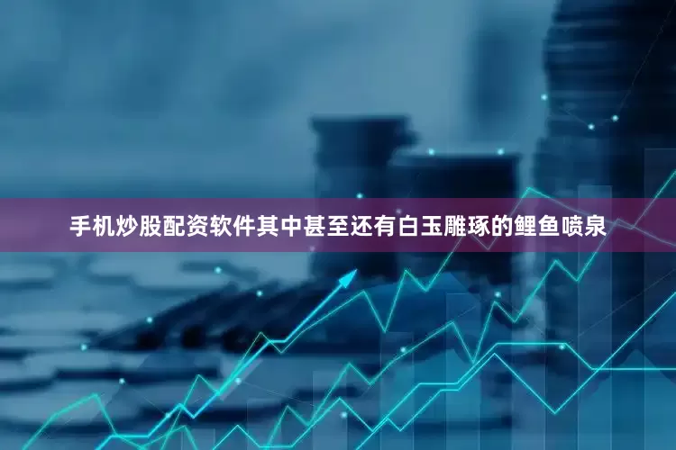 手机炒股配资软件其中甚至还有白玉雕琢的鲤鱼喷泉
