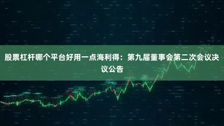 股票杠杆哪个平台好用一点海利得：第九届董事会第二次会议决议公告