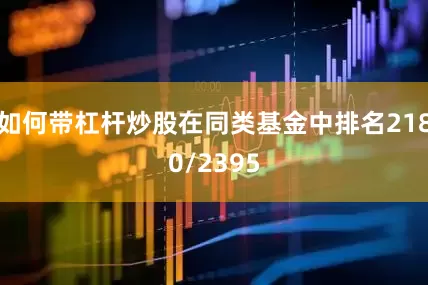 如何带杠杆炒股在同类基金中排名2180/2395