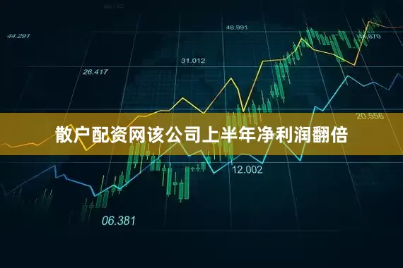 散户配资网该公司上半年净利润翻倍
